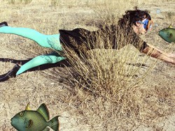 En el vientre de la ballena