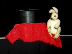 PRESENTACIÓN PREVIA DE IMAGINARIA EN LÉRIDA | Magia, circo y marionetas