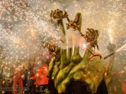 Associació el Griu d