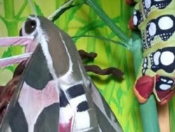 ¡Nos colamos en el Pórtico!